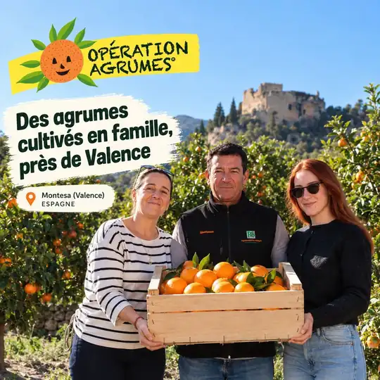 Famille de producteurs Opération Agrumes tenant une caisse d'oranges dans son verger de Montesa, près de Valence