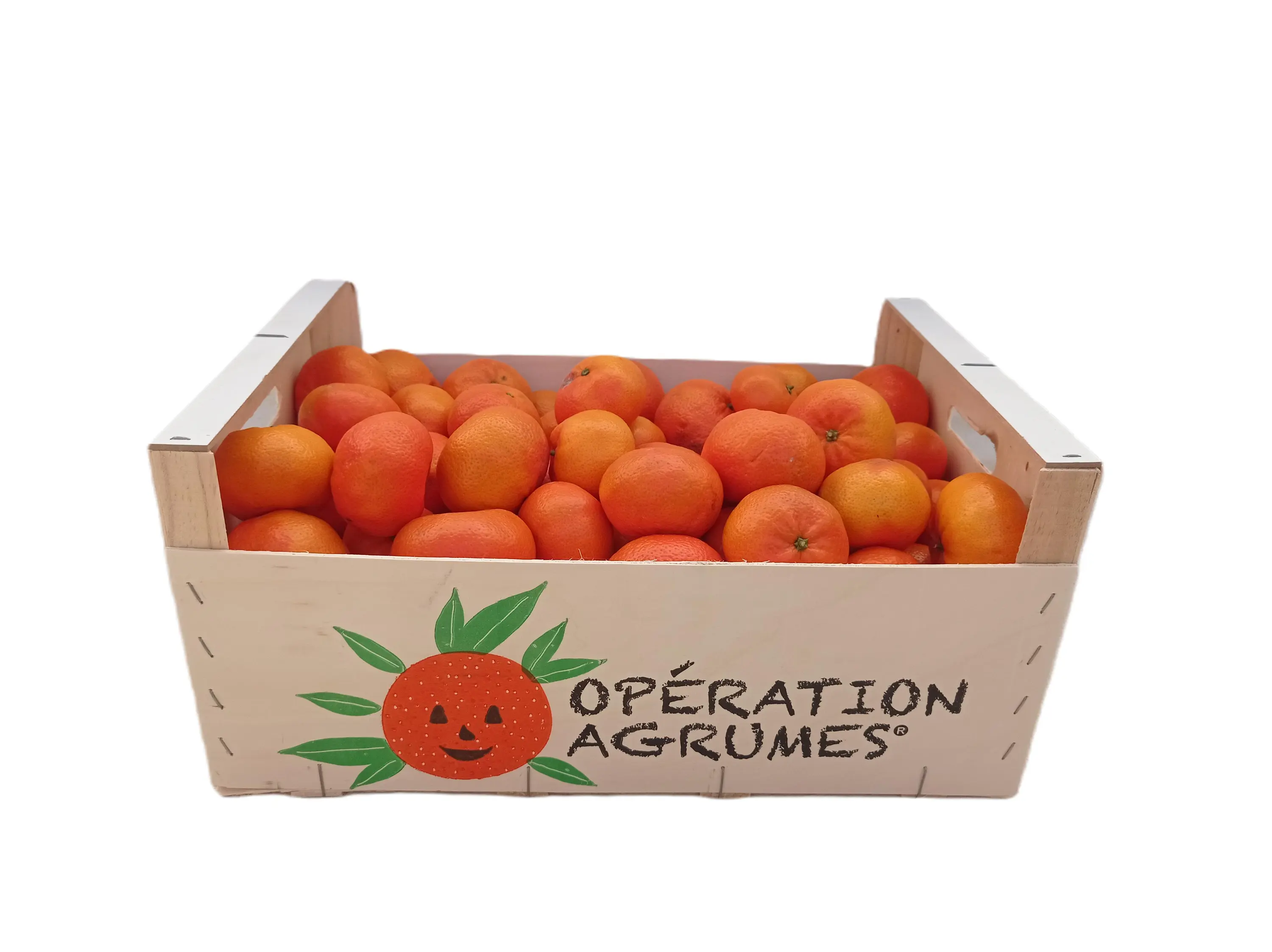 Cagette de mandarines pour une opération agrumes d'école