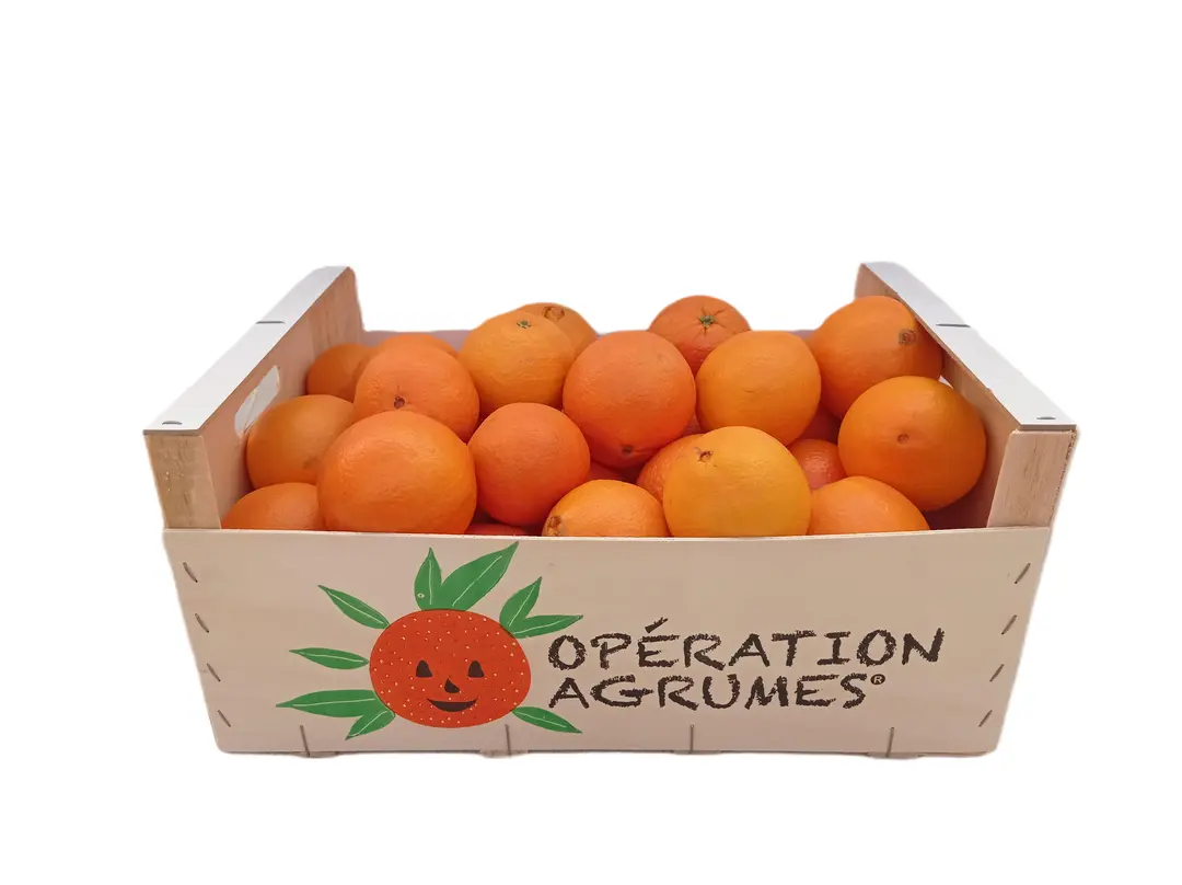 Cagette d'oranges à jus pour une vente groupée d'association