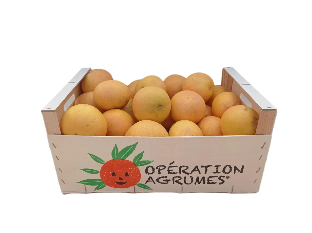 Cagette de pamplemousses pour une vente d'agrumes de club sportif